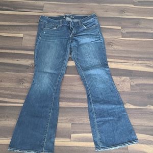 American eagle artist 14 long distressed jean